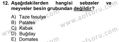 Temel Sağlık Hizmetleri Dersi 2012 - 2013 Yılı (Vize) Ara Sınav Soruları 12. Soru