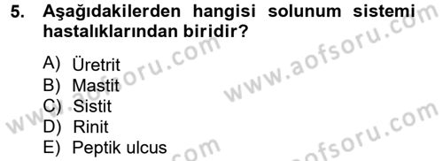 Temel Sağlık Hizmetleri Dersi 2012 - 2013 Yılı (Vize) Ara Sınav Soruları 5. Soru