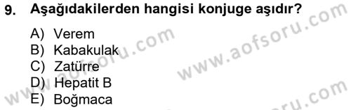 Temel Sağlık Hizmetleri Dersi 2012 - 2013 Yılı (Vize) Ara Sınav Soruları 9. Soru