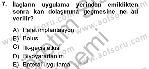 Temel Sağlık Hizmetleri Dersi 2013 - 2014 Yılı (Final) Dönem Sonu Sınav Soruları 7. Soru