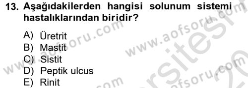 Temel Sağlık Hizmetleri Dersi 2013 - 2014 Yılı Tek Ders Sınav Soruları 13. Soru