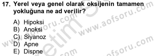 Temel Sağlık Hizmetleri Dersi 2013 - 2014 Yılı Tek Ders Sınav Soruları 17. Soru