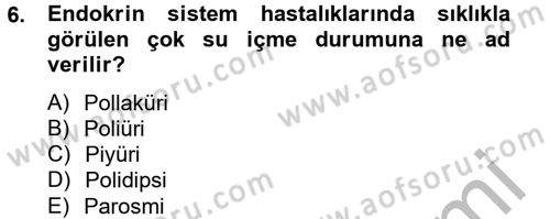 Temel Sağlık Hizmetleri Dersi 2014 - 2015 Yılı (Vize) Ara Sınav Soruları 6. Soru