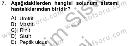 Temel Sağlık Hizmetleri Dersi 2014 - 2015 Yılı (Vize) Ara Sınav Soruları 7. Soru