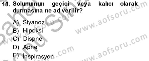 Temel Sağlık Hizmetleri Dersi 2014 - 2015 Yılı (Final) Dönem Sonu Sınav Soruları 18. Soru
