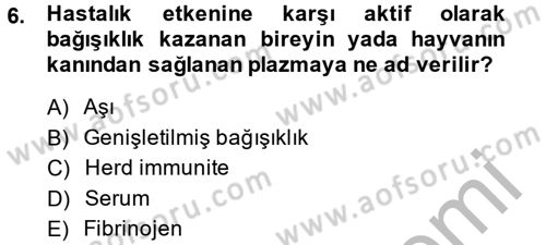 Temel Sağlık Hizmetleri Dersi 2014 - 2015 Yılı (Final) Dönem Sonu Sınav Soruları 6. Soru