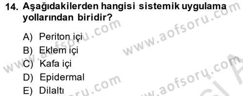 Temel Sağlık Hizmetleri Dersi 2014 - 2015 Yılı Tek Ders Sınavı 14. Soru