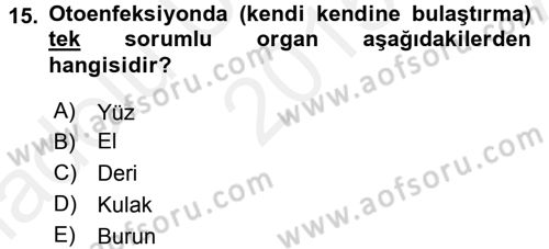 Temel Sağlık Hizmetleri Dersi 2015 - 2016 Yılı (Vize) Ara Sınav Soruları 15. Soru