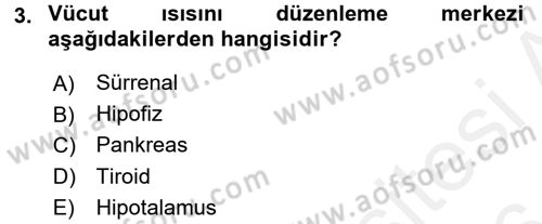 Temel Sağlık Hizmetleri Dersi 2015 - 2016 Yılı (Vize) Ara Sınav Soruları 3. Soru
