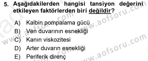Temel Sağlık Hizmetleri Dersi 2015 - 2016 Yılı (Vize) Ara Sınav Soruları 5. Soru