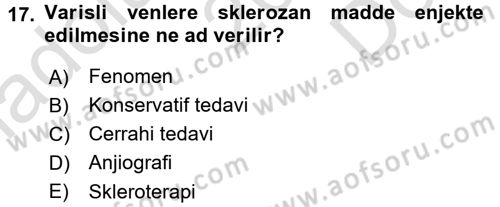 Temel Sağlık Hizmetleri Dersi 2015 - 2016 Yılı (Final) Dönem Sonu Sınav Soruları 17. Soru