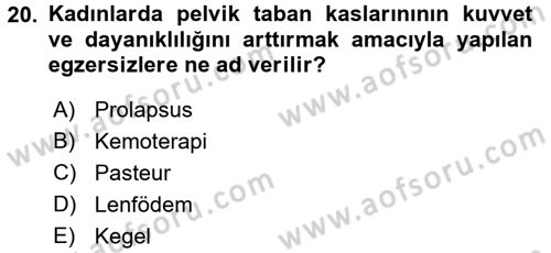 Temel Sağlık Hizmetleri Dersi 2015 - 2016 Yılı (Final) Dönem Sonu Sınav Soruları 20. Soru