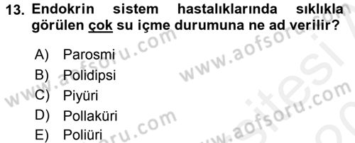 Temel Sağlık Hizmetleri Dersi 2015 - 2016 Yılı Tek Ders Sınav Soruları 13. Soru
