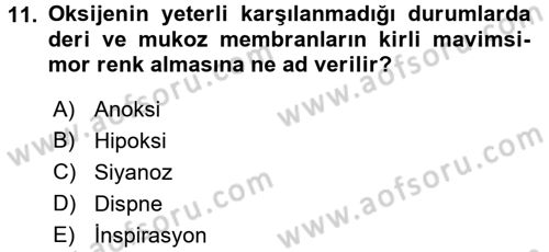 Temel Sağlık Hizmetleri Dersi 2016 - 2017 Yılı 3 Ders Sınav Soruları 11. Soru
