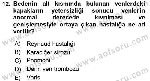 Temel Sağlık Hizmetleri Dersi 2016 - 2017 Yılı 3 Ders Sınav Soruları 12. Soru