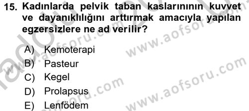 Temel Sağlık Hizmetleri Dersi 2016 - 2017 Yılı 3 Ders Sınav Soruları 15. Soru