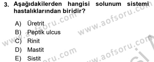 Temel Sağlık Hizmetleri Dersi 2016 - 2017 Yılı 3 Ders Sınav Soruları 3. Soru