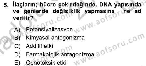 Temel Sağlık Hizmetleri Dersi 2016 - 2017 Yılı 3 Ders Sınav Soruları 5. Soru