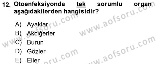 Temel Sağlık Hizmetleri Dersi 2016 - 2017 Yılı (Vize) Ara Sınav Soruları 12. Soru