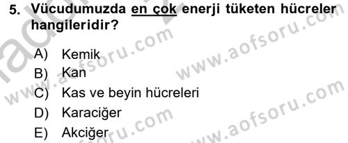 Temel Sağlık Hizmetleri Dersi 2016 - 2017 Yılı (Vize) Ara Sınav Soruları 5. Soru