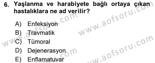 Temel Sağlık Hizmetleri Dersi 2016 - 2017 Yılı (Vize) Ara Sınav Soruları 6. Soru
