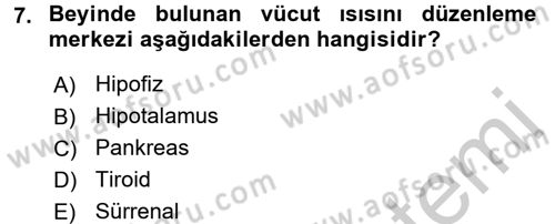 Temel Sağlık Hizmetleri Dersi 2016 - 2017 Yılı (Vize) Ara Sınav Soruları 7. Soru