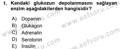 Temel Sağlık Hizmetleri Dersi 2016 - 2017 Yılı (Final) Dönem Sonu Sınav Soruları 1. Soru