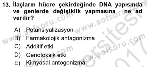 Temel Sağlık Hizmetleri Dersi 2016 - 2017 Yılı (Final) Dönem Sonu Sınav Soruları 13. Soru