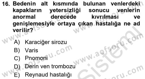 Temel Sağlık Hizmetleri Dersi 2016 - 2017 Yılı (Final) Dönem Sonu Sınav Soruları 16. Soru