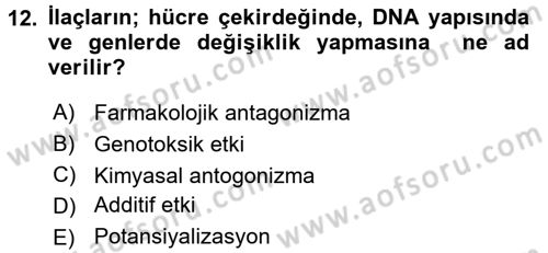 Temel Sağlık Hizmetleri Dersi 2017 - 2018 Yılı 3 Ders Sınav Soruları 12. Soru