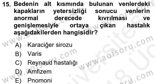 Temel Sağlık Hizmetleri Dersi 2017 - 2018 Yılı 3 Ders Sınav Soruları 15. Soru