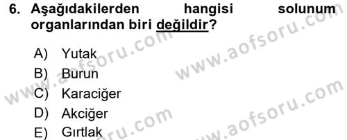 Temel Sağlık Hizmetleri Dersi 2017 - 2018 Yılı (Vize) Ara Sınav Soruları 6. Soru