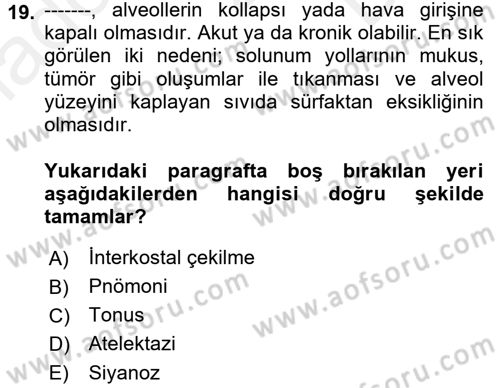 Temel Sağlık Hizmetleri Dersi 2017 - 2018 Yılı (Final) Dönem Sonu Sınav Soruları 19. Soru