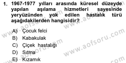 Temel Sağlık Hizmetleri Dersi 2018 - 2019 Yılı 3 Ders Sınav Soruları 1. Soru