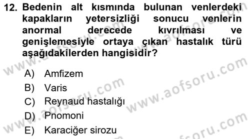 Temel Sağlık Hizmetleri Dersi 2018 - 2019 Yılı 3 Ders Sınav Soruları 12. Soru