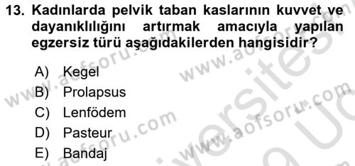 Temel Sağlık Hizmetleri Dersi 2018 - 2019 Yılı 3 Ders Sınav Soruları 13. Soru