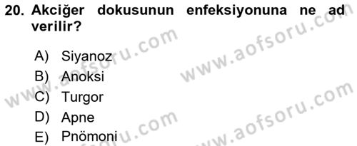 Temel Sağlık Hizmetleri Dersi 2018 - 2019 Yılı 3 Ders Sınav Soruları 20. Soru