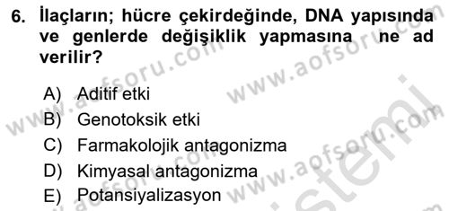 Temel Sağlık Hizmetleri Dersi 2018 - 2019 Yılı 3 Ders Sınav Soruları 6. Soru