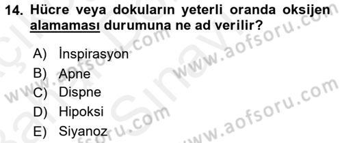 Temel Sağlık Hizmetleri Dersi 2018 - 2019 Yılı (Final) Dönem Sonu Sınav Soruları 14. Soru