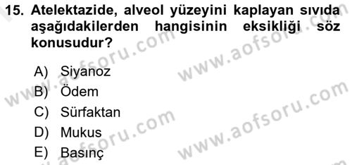 Temel Sağlık Hizmetleri Dersi 2018 - 2019 Yılı (Final) Dönem Sonu Sınav Soruları 15. Soru