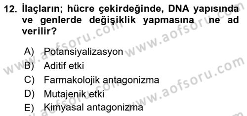 Temel Sağlık Hizmetleri Dersi 2018 - 2019 Yılı Yaz Okulu Sınav Soruları 12. Soru