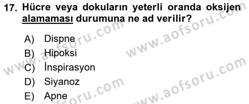 Temel Sağlık Hizmetleri Dersi 2018 - 2019 Yılı Yaz Okulu Sınav Soruları 17. Soru