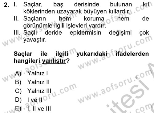 Temel Sağlık Hizmetleri Dersi 2018 - 2019 Yılı Yaz Okulu Sınav Soruları 2. Soru