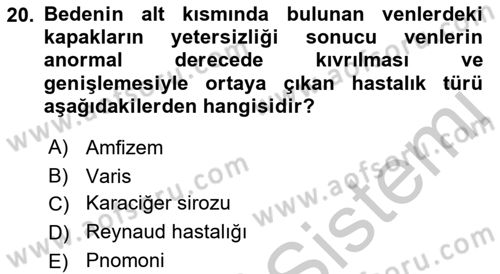 Temel Sağlık Hizmetleri Dersi 2018 - 2019 Yılı Yaz Okulu Sınav Soruları 20. Soru