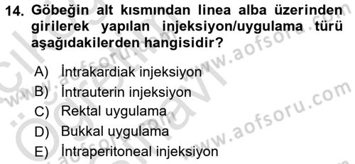 Temel Sağlık Hizmetleri Dersi 2020 - 2021 Yılı Yaz Okulu Sınav Soruları 14. Soru
