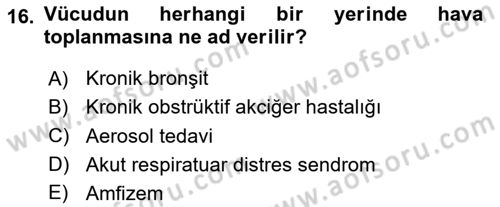Temel Sağlık Hizmetleri Dersi 2020 - 2021 Yılı Yaz Okulu Sınav Soruları 16. Soru