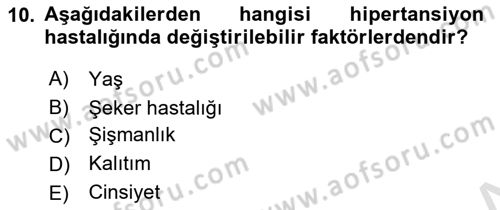 Temel Sağlık Hizmetleri Dersi 2021 - 2022 Yılı (Vize) Ara Sınav Soruları 10. Soru