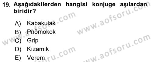Temel Sağlık Hizmetleri Dersi 2021 - 2022 Yılı (Vize) Ara Sınav Soruları 19. Soru
