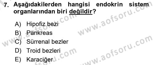 Temel Sağlık Hizmetleri Dersi 2021 - 2022 Yılı (Vize) Ara Sınav Soruları 7. Soru