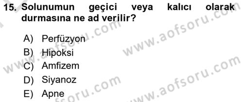 Temel Sağlık Hizmetleri Dersi 2021 - 2022 Yılı (Final) Dönem Sonu Sınav Soruları 15. Soru
